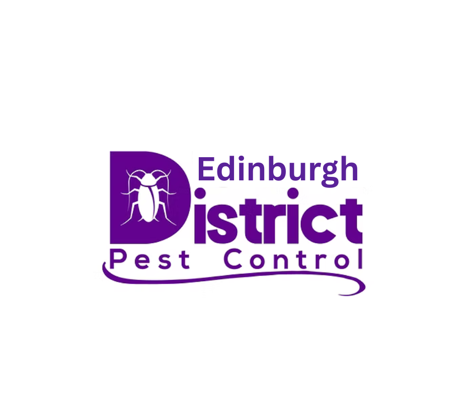 Edinburgh pest control expert
